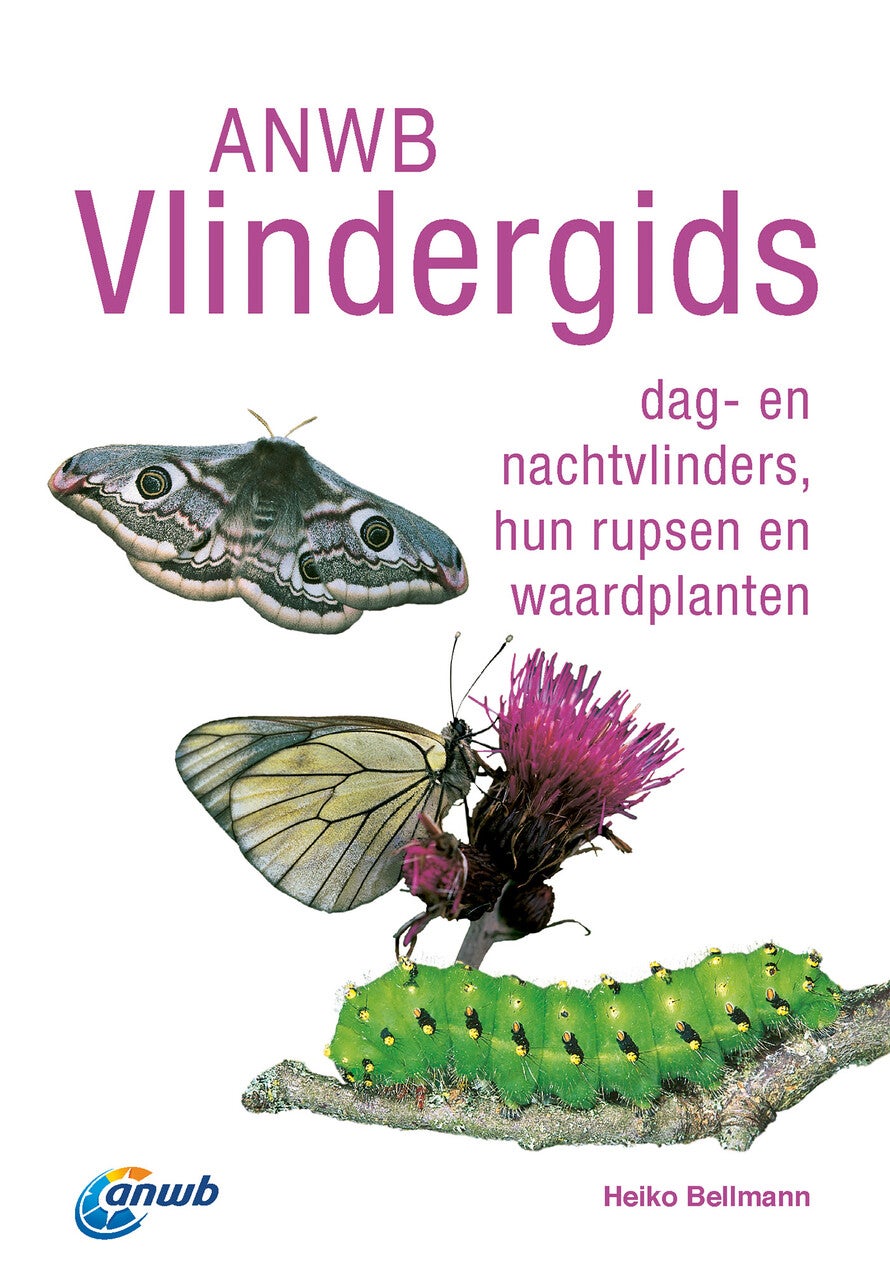 ANWB Vlindergids (Paperback)