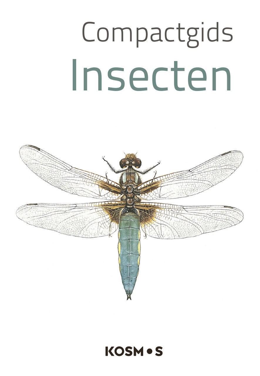 Compactgids Insecten (Paperback)