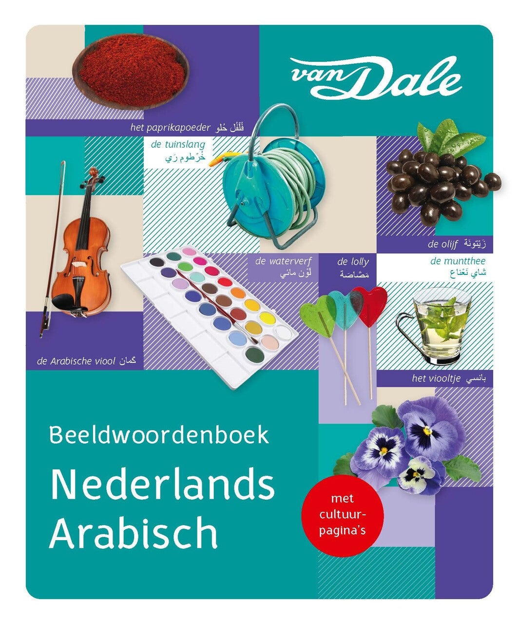 Van Dale Beeldwoordenboek Nederlands/Arabisch (Paperback)