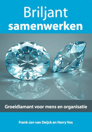 Briljant samenwerken (Paperback)