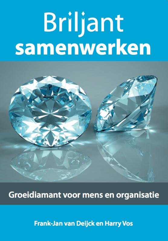 Briljant samenwerken (Paperback)