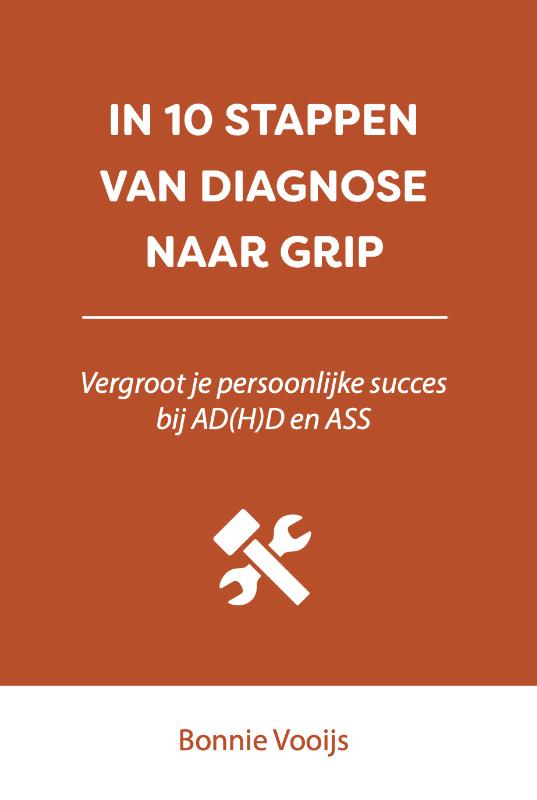 In 10 stappen van diagnose naar grip (Paperback)