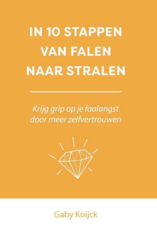 In 10 stappen van falen naar stralen (Paperback)