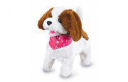 RC hond wit/bruin junior 22 cm