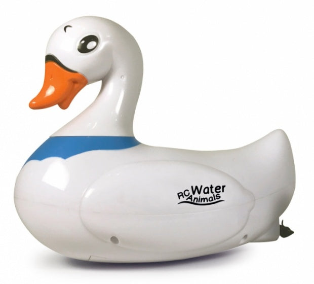 RC Zwaan 20 cm junior 2
