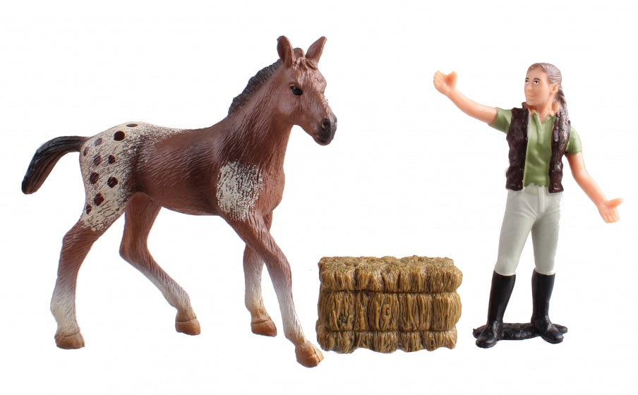 Country Life paarden verzorgingset bruin/rood 10