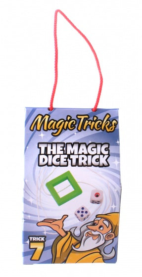 goocheltruc the magic dice trick donkerpaars