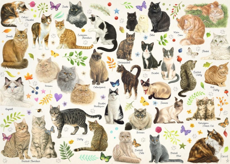 legpuzzel Cats 1000 stukjes