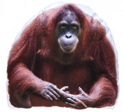 kussen orang-oetang wit/bruin 62 cm