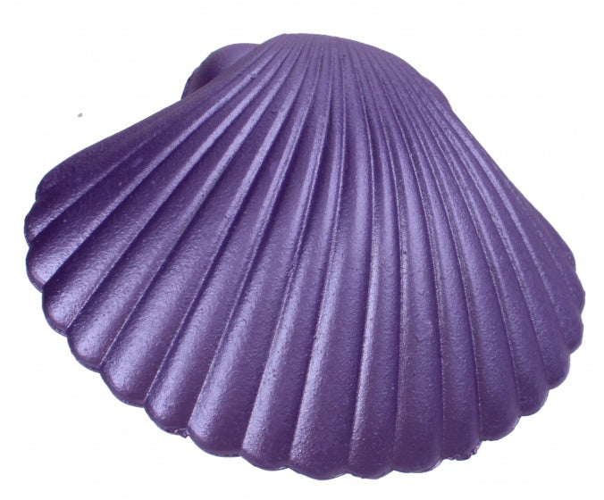 groei-schelp zeemeermin paars 9 x 9 cm