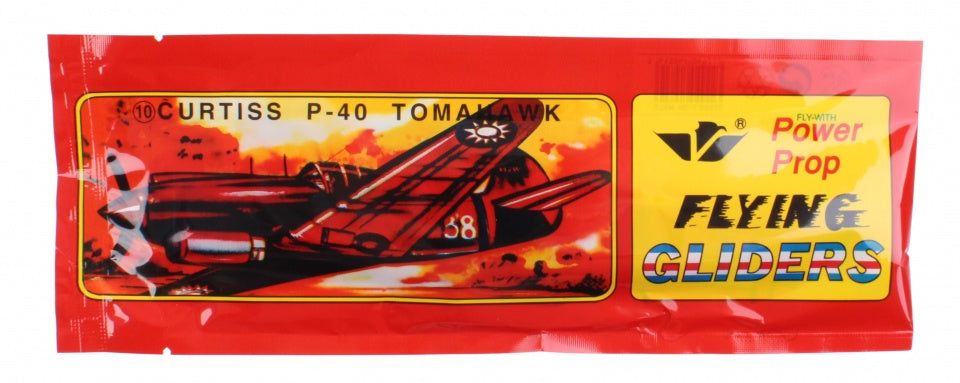 vliegtuig Glider 20 cm Curtiss P-40 Tomahawk