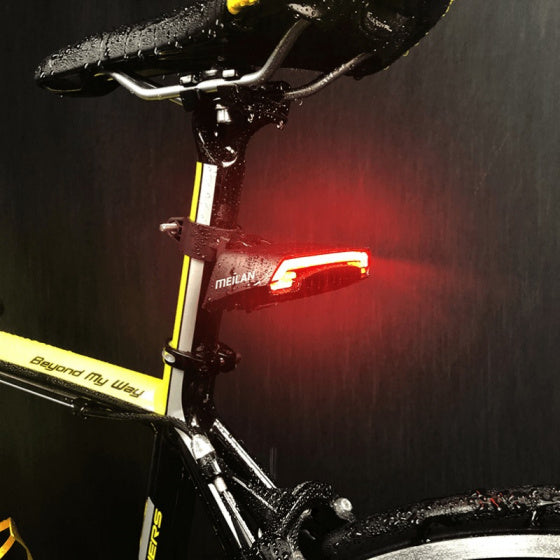 achterlicht met afstandsbediening en laser USB 2-delig