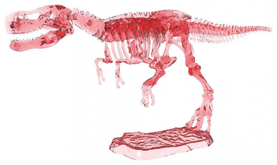 dinosaurus opgravingsset glow in the dark T-Rex