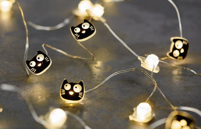 lichtketting Ed