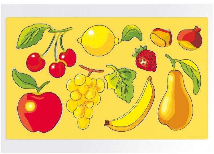 Sagome fruit tekensjablonen 6-delig