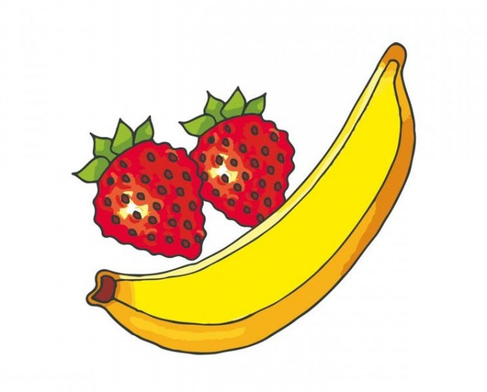 Sagome fruit tekensjablonen 6-delig