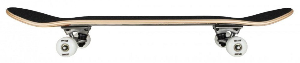 skateboard Hawk Roar 79 cm