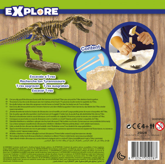 T-rex skelet opgraven 20 x 20 cm Explore