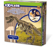 T-rex skelet opgraven 20 x 20 cm Explore