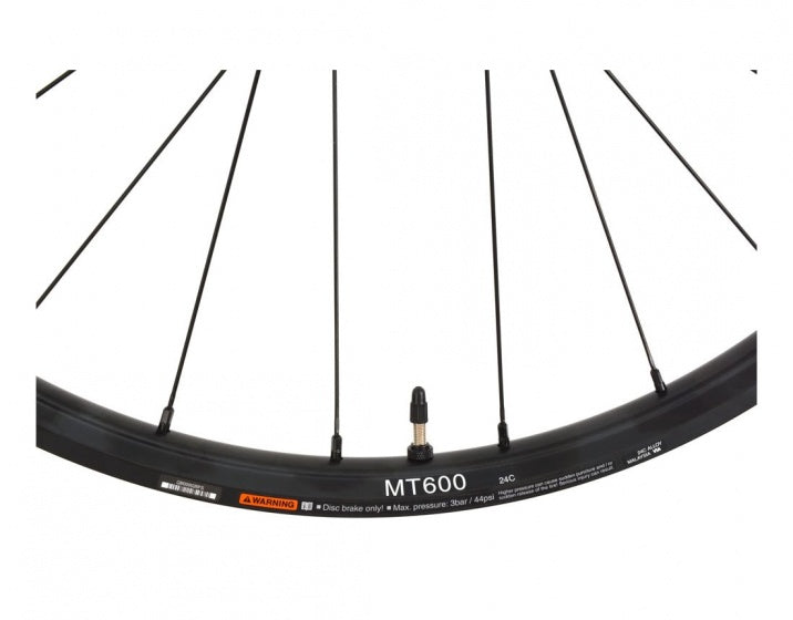 achterwiel MT600 29 inch Disc TL 12 mm E-Thru