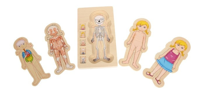 vormenpuzzel Anatomie junior hout 28 stukjes