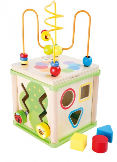 Training kubus met loop Insecten hout