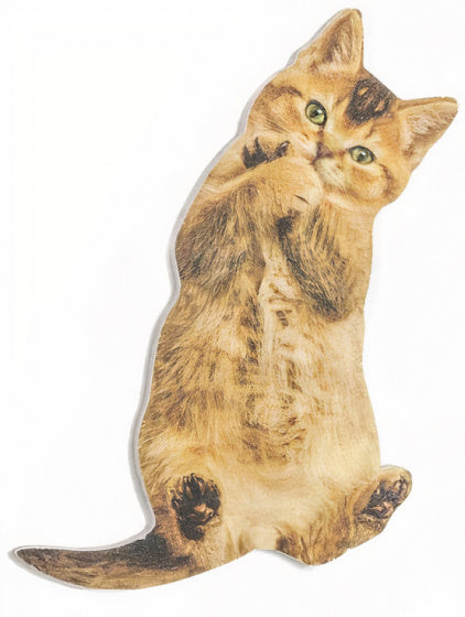 nagelvijl kattenvorm 12