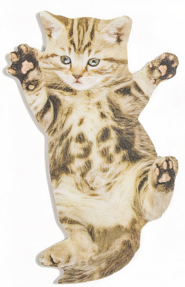 nagelvijl kattenvorm 12