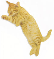 nagelvijl kattenvorm 12