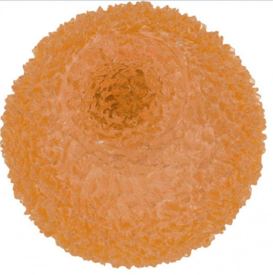 Lichtgevende stuiterbal oranje