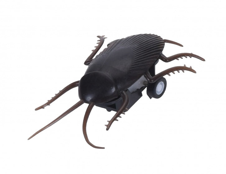opwindfiguur kakkerlak 10 cm