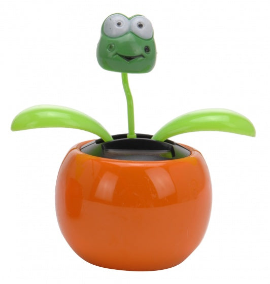 solarbloem kikker oranje 10 cm