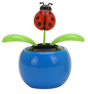 solarbloem lieveheersbeestje blauw 10 cm