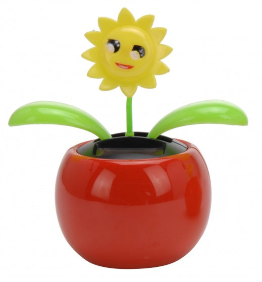 solarbloem zon rood 10 cm