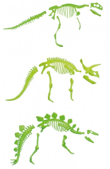 glow in the dark dinosaurus skelet in ei rood