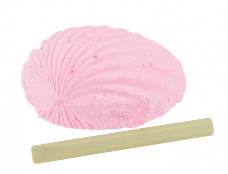 uithaksteen schelp 7 cm roze