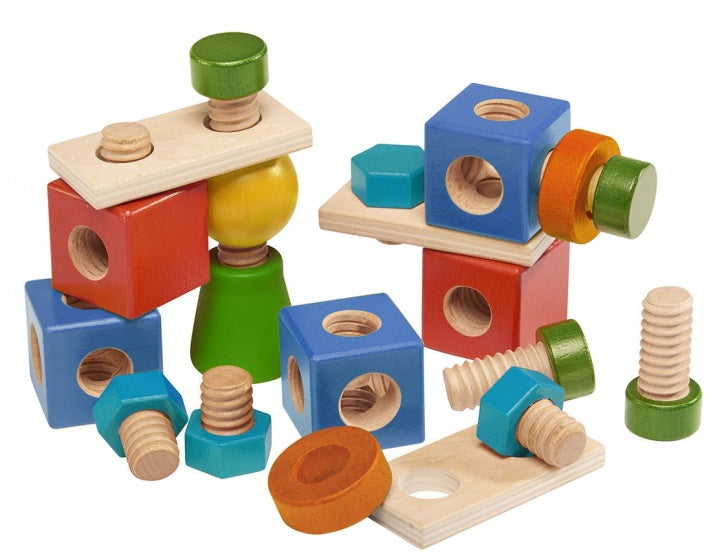 bouwblokken schroeven hout 24-delig