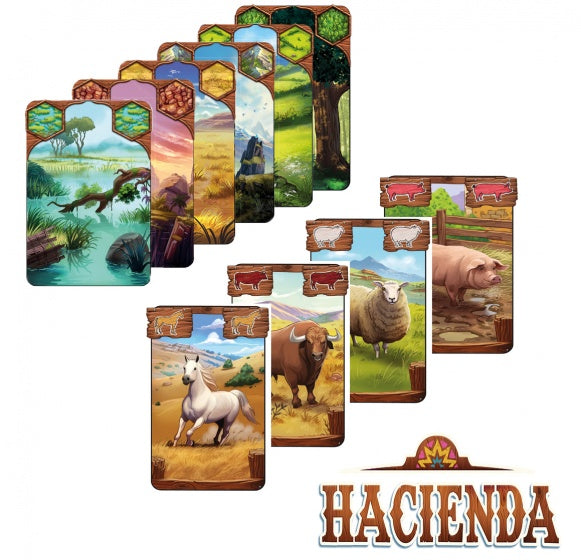 gezelschapsspel Hacienda (NL)