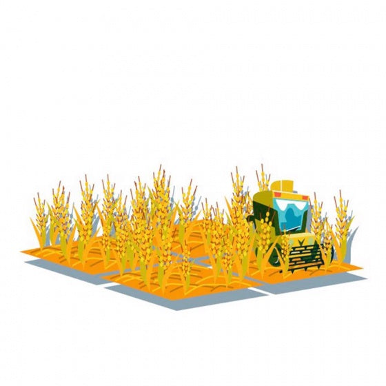 Machi Koro dobbelspel